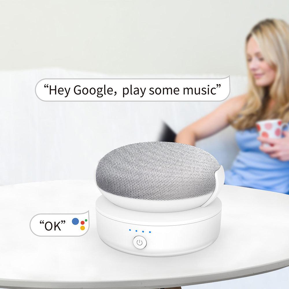 Make google home mini sales portable